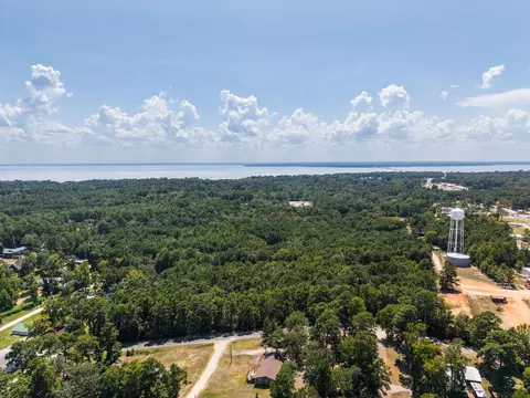 272 Artesian, Onalaska, TX 77360 photo 6