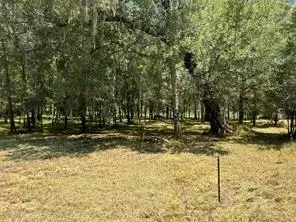 000 Sour Lake Cir, Cleveland, TX 77327