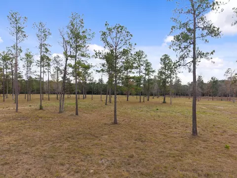 tbd Lot 3 Fm 3152 Rd, Livingston, TX 77351
