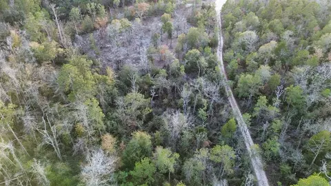 500 Pr 8170, Kirbyville, TX 75956