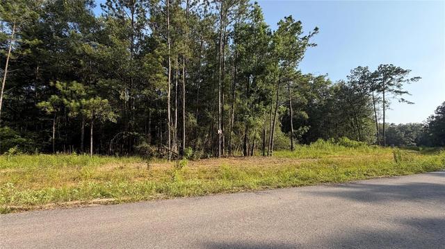 201 Kings Ct, Dayton, TX 77535