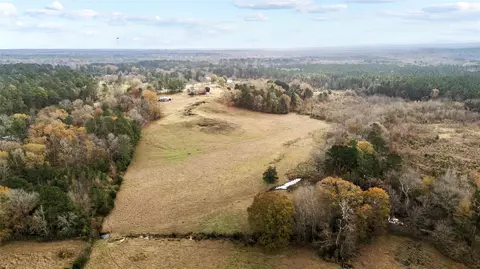 16202 State Highway 87 S, Shelbyville, TX 75973