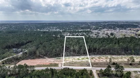 15583 Forest Grove Dr, Willis, TX 77378