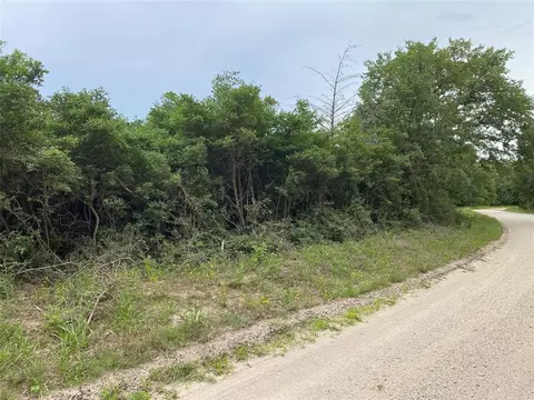 000 Green Ash Dr, Normangee, TX 77871