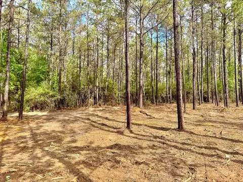 1 Benny Griffin Rd, Dallardsville, TX 77351