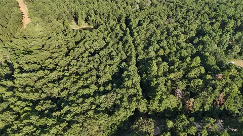 lot26 Deer Run Rd, Chester, TX 75936