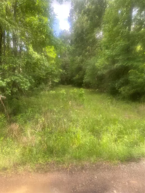 251 Pickens Loop, Livingston, TX 77351