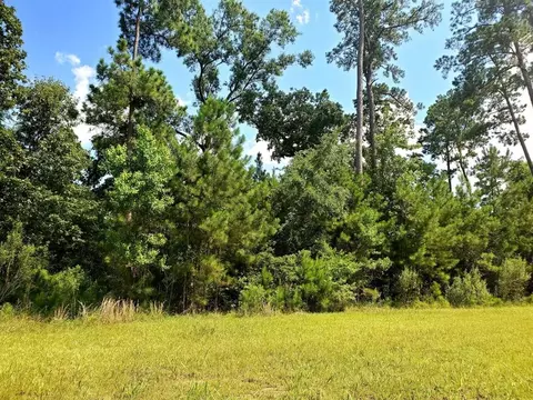 113 Kings Lake Estates Blvd, Humble, TX 77346