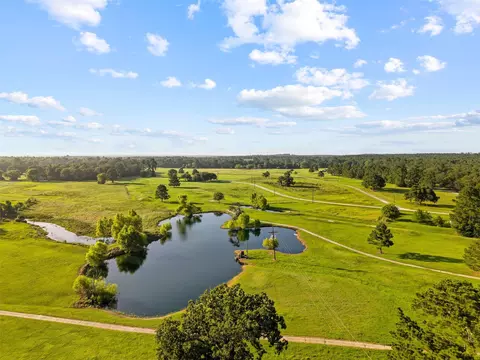 View/Area - 1445 Tara Dr, Trinity, TX 75862 photo 9 of 10