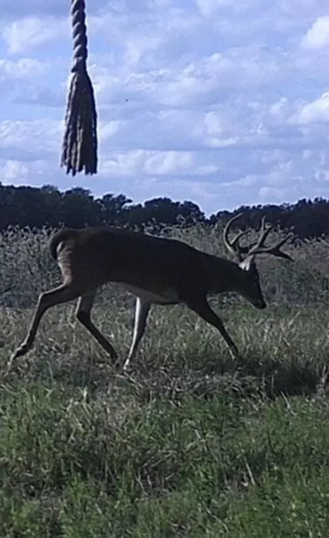 Other - tbd Pr 1350, Centerville, TX 75833 photo 20 of 25