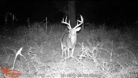 Other - tbd Pr 1350, Centerville, TX 75833 photo 19 of 25