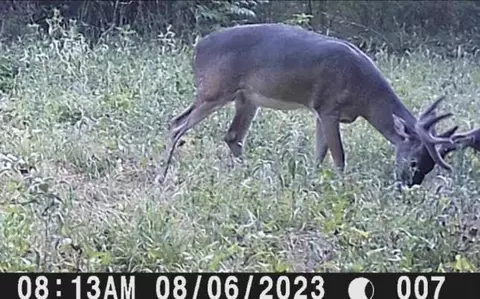 Other - tbd Pr 1350, Centerville, TX 75833 photo 22 of 25