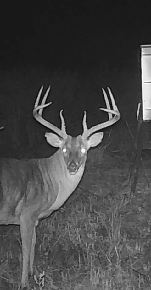 Other - tbd Pr 1350, Centerville, TX 75833 photo 25 of 25
