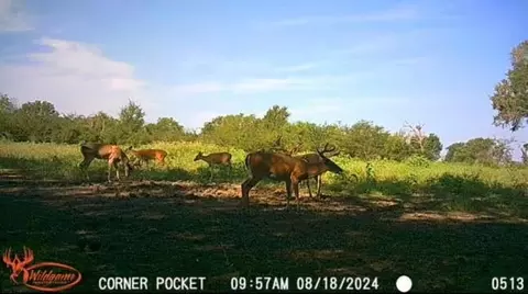 Other - tbd Pr 1350, Centerville, TX 75833 photo 3 of 25