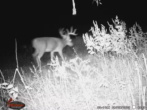 Other - tbd Pr 1350, Centerville, TX 75833 photo 24 of 25