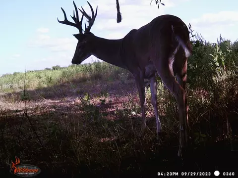 Other - tbd Pr 1350, Centerville, TX 75833 photo 23 of 25