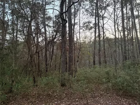 94 Green Tree Dr, Coldspring, TX 77331