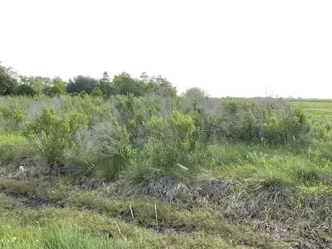 0 County Road 595, Angleton, TX 77515