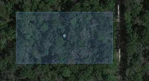 11651 Indian Oaks Ln, Houston, TX 77044