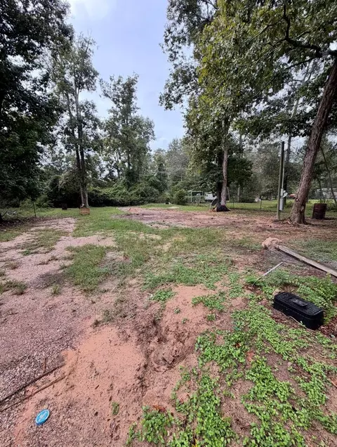 71 Pine Ln, Shepherd, TX 77371 photo 2