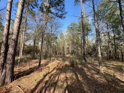 3-17 3b Winchester Rd, Huntsville, TX 77340