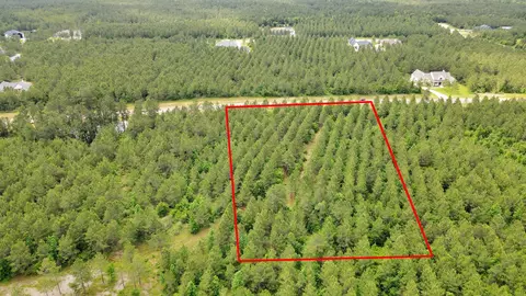 15522 Wood Grove Way, Willis, TX 77378