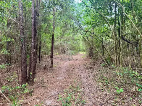 17 Acres Cr 1375, Warren, TX 77664