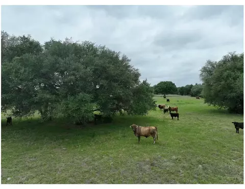 lot5 Tbd 5 County Road 127 Rd, Ledbetter, TX 78946