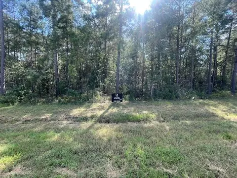 108 Coyote Run, Willis, TX 77378