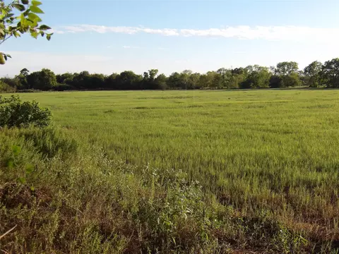 Other - 6576 Carrell St, Shiro, TX 77876 photo 4 of 5