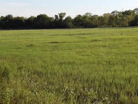 Other - 6576 Carrell St, Shiro, TX 77876 photo 3 of 5