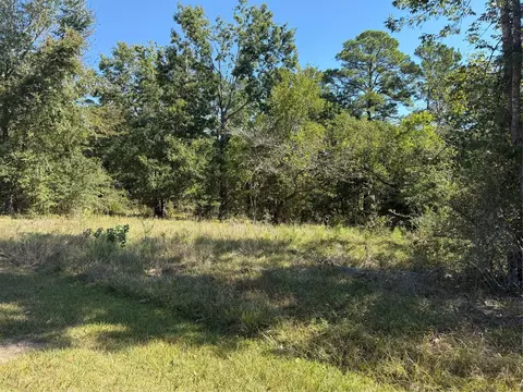 tbd Shadowood Ln, Coldspring, TX 77331 photo 3