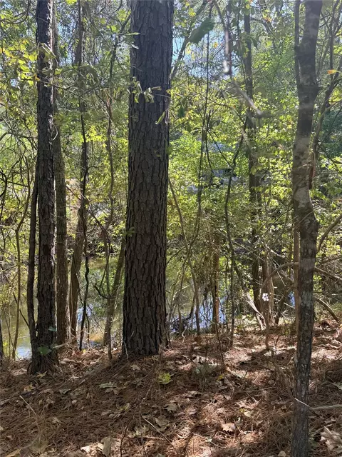 tbd Shadowood Ln, Coldspring, TX 77331 photo 4