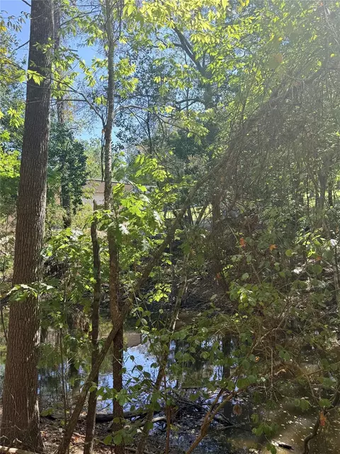 tbd Shadowood Ln, Coldspring, TX 77331 photo 2