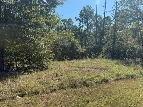 tbd Shadowood Ln, Coldspring, TX 77331 photo 5