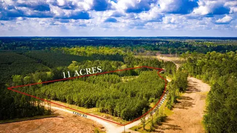 0 Jimbo Nettles Rd, Livingston, TX 77351