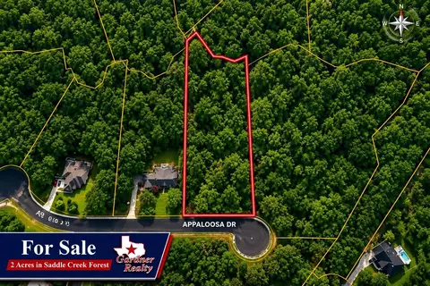 17847 Appaloosa Dr, Waller, TX 77484