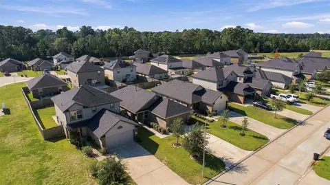 View/Area - 1207 Blue Hazel Ct, Pinehurst, TX 77362 photo 2 of 10