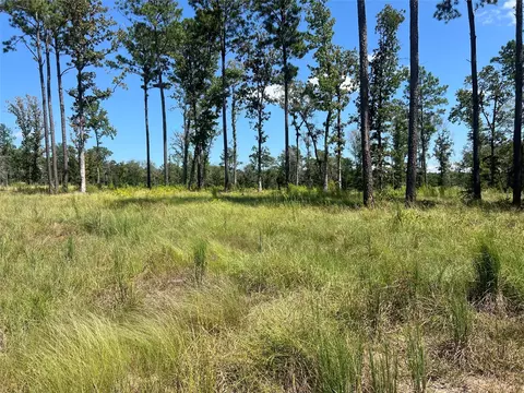 tbd Ray Marsh Rd, Livingston, TX 77351