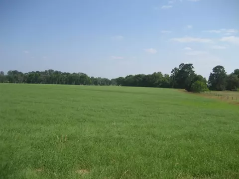 00 Cr 1890 N, Grapeland, TX 75844