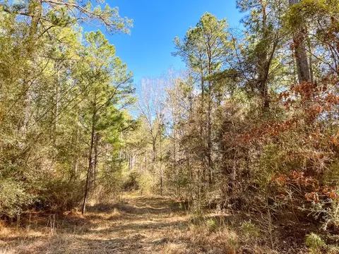 Other - 16 Paces Crk, Corrigan, TX 75939 photo 2 of 10