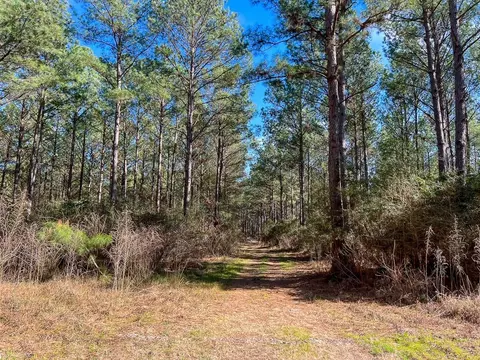 Other - 16 Paces Crk, Corrigan, TX 75939 photo 4 of 10