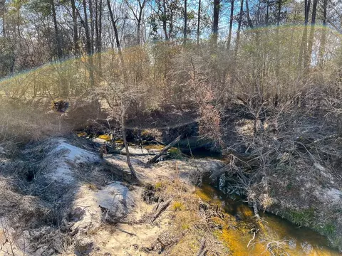 View/Area - 16 Paces Crk, Corrigan, TX 75939 photo 1 of 1