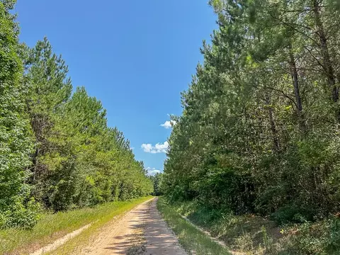 0000 Cr 367, Zavalla, TX 75980