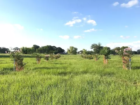 762 Stallion Cir, Angleton, TX 77515 photo 4