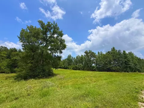 tbd Cr 2012, Centerville, TX 75833 photo 3