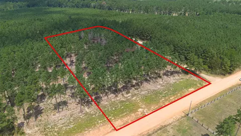 0 Richardson Rd E, Livingston, TX 77351