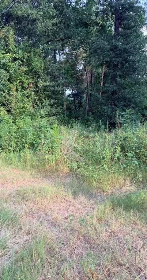 0 Lyric, Conroe, TX 77302 photo 2