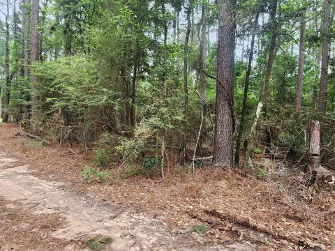 277 Long King, Livingston, TX 77351