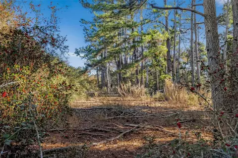 tbd Pr 1316, Centerville, TX 75833 photo 20